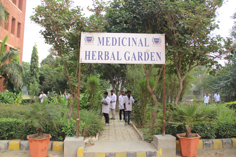 MEDICINAL AND HERBAL GARDEN at Lloyd Pharmacy Collegev